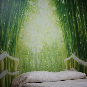 Bed & Breakfast La Casa Dell'orso, Ciampino